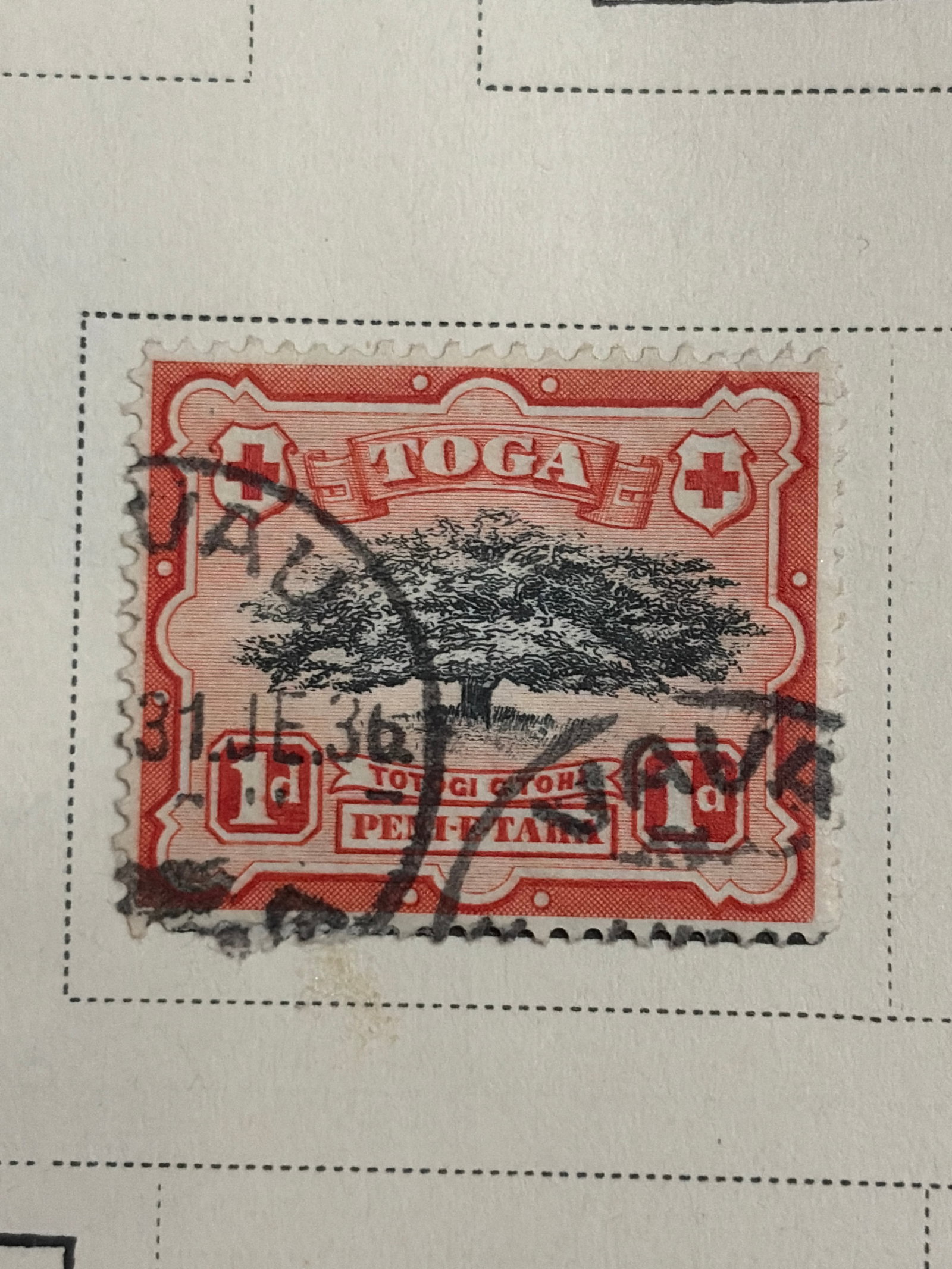 1897 Tonga One-Penny Tree Design Used Stamp: Vintage 1897 Tonga one-penny orange-red postage stamp featuring a large tree within an ornamental frame. The stamp has a bold circular postal cancellation; the neighboring black-and-white image is a p