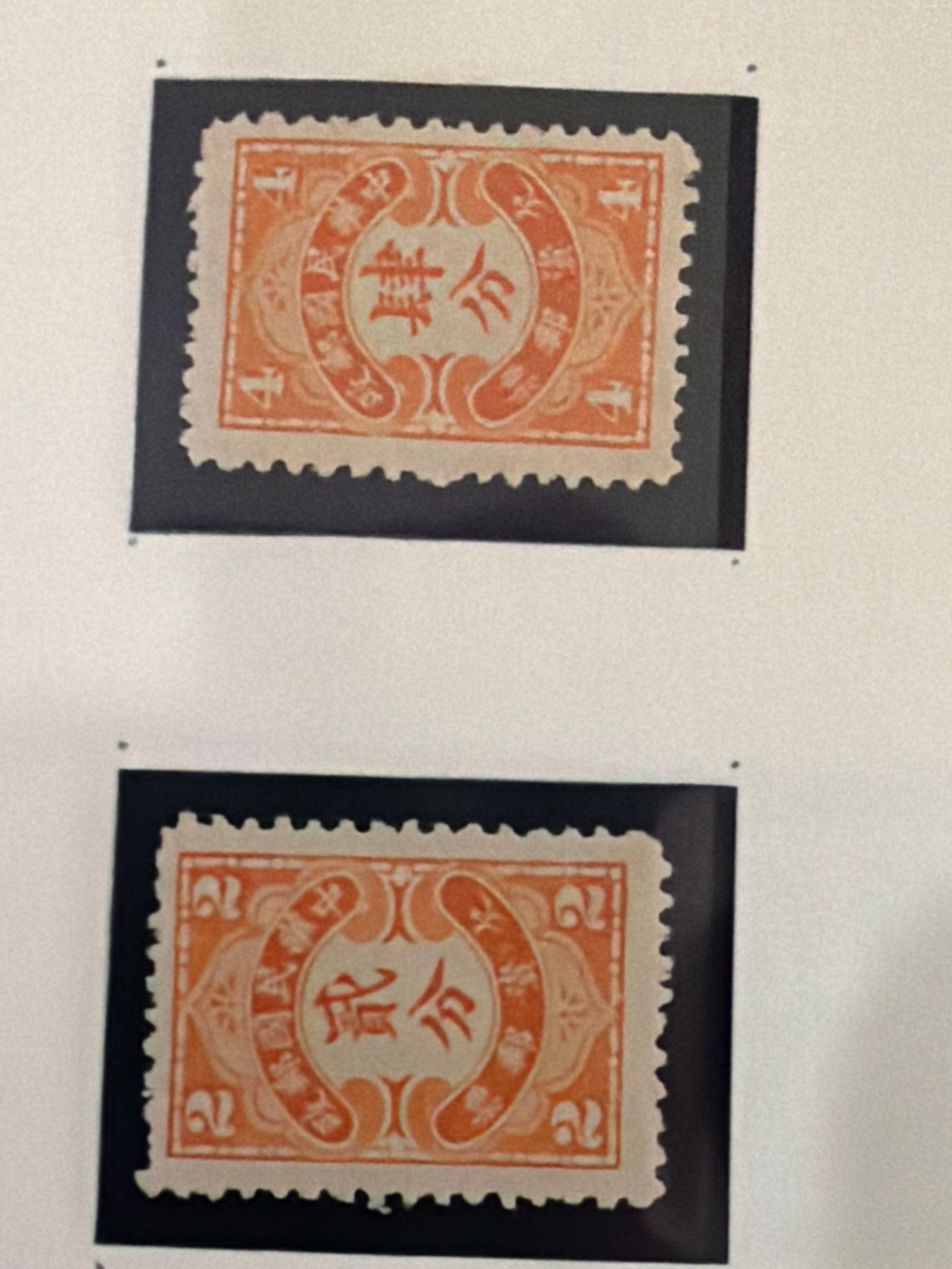 1904 China Qing Dynasty Imperial Postage Due (1 of 1)