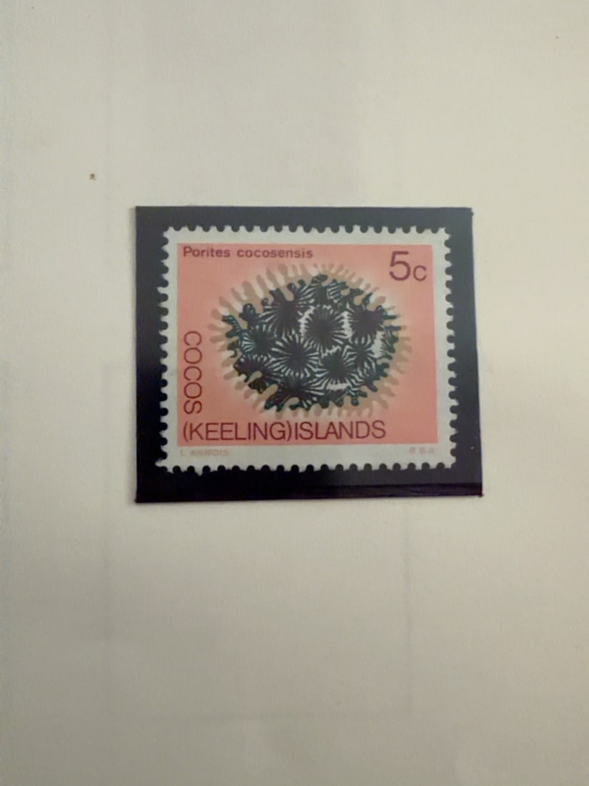 Cocos Keeling Islands 5c Porites Cocosensis Coral Stamp: Cocos (Keeling) Islands 5-cent postage stamp featuring Porites cocosensis coral. Stamp appears unused and is displayed against a dark mounting background. Gum and hinging have not been examined.