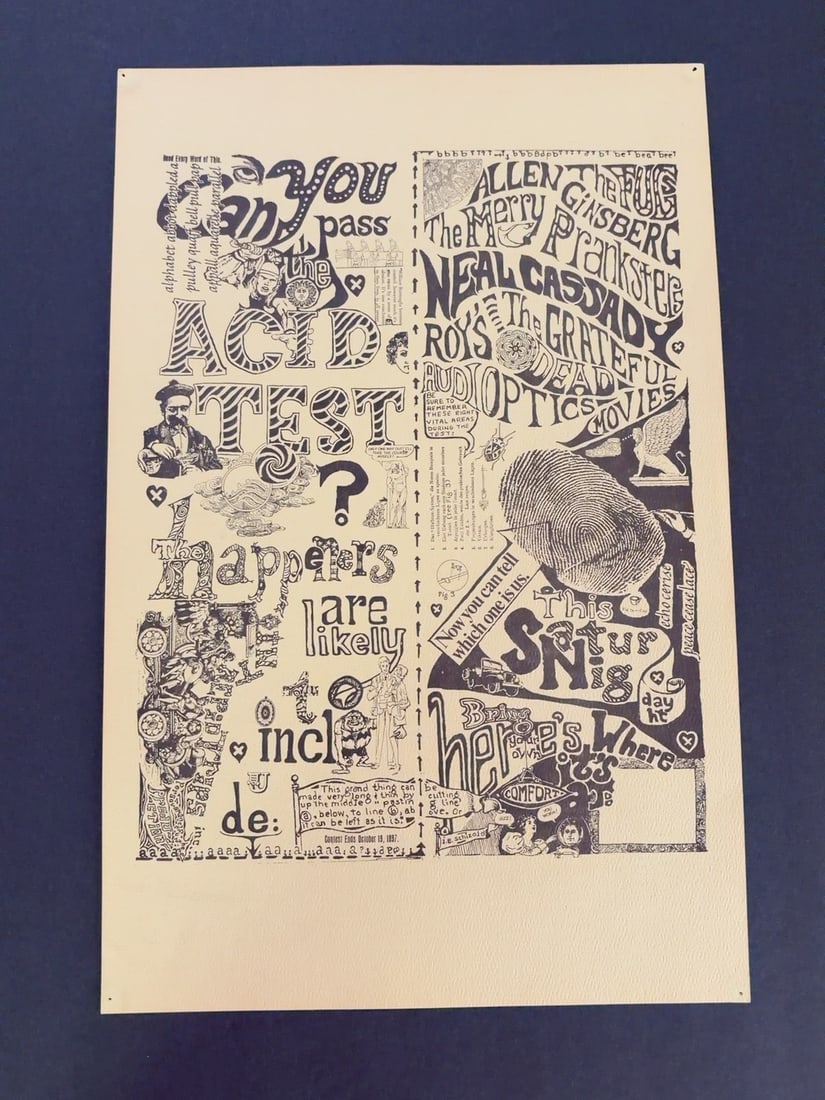 Can You Pass The Acid Test Poster: Measures 11x17