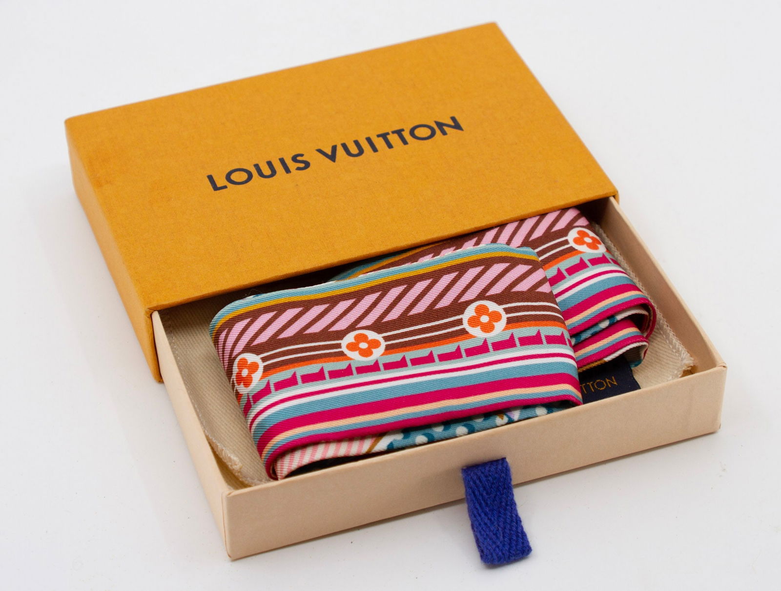 LOUIS VUITTON BB Bandeau (1 of 6)