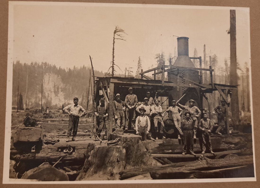 Early Historic Antique California Redwood Forest  Lumberjacks  Photograph Circa 1900 (1 of 10)