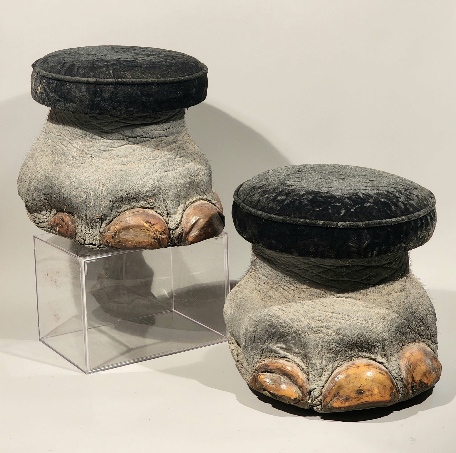 A Pair of Foot Stools made from Elephant Feet (1 of 8)