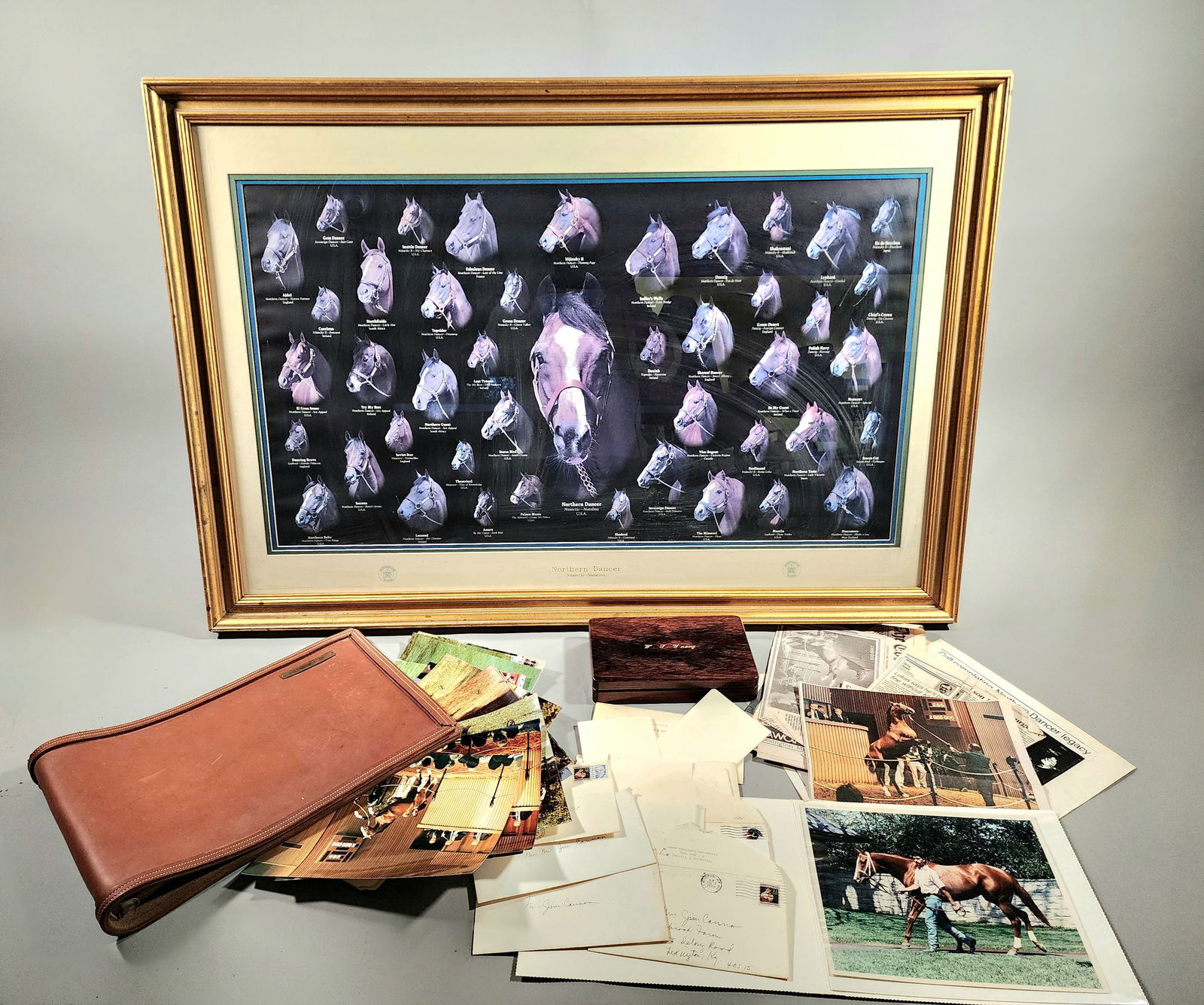 Framed Picture Showing Racehorse From Overbrook Farm Tilted 'Northern Dancer', Teasing Charts, (1 of 16)