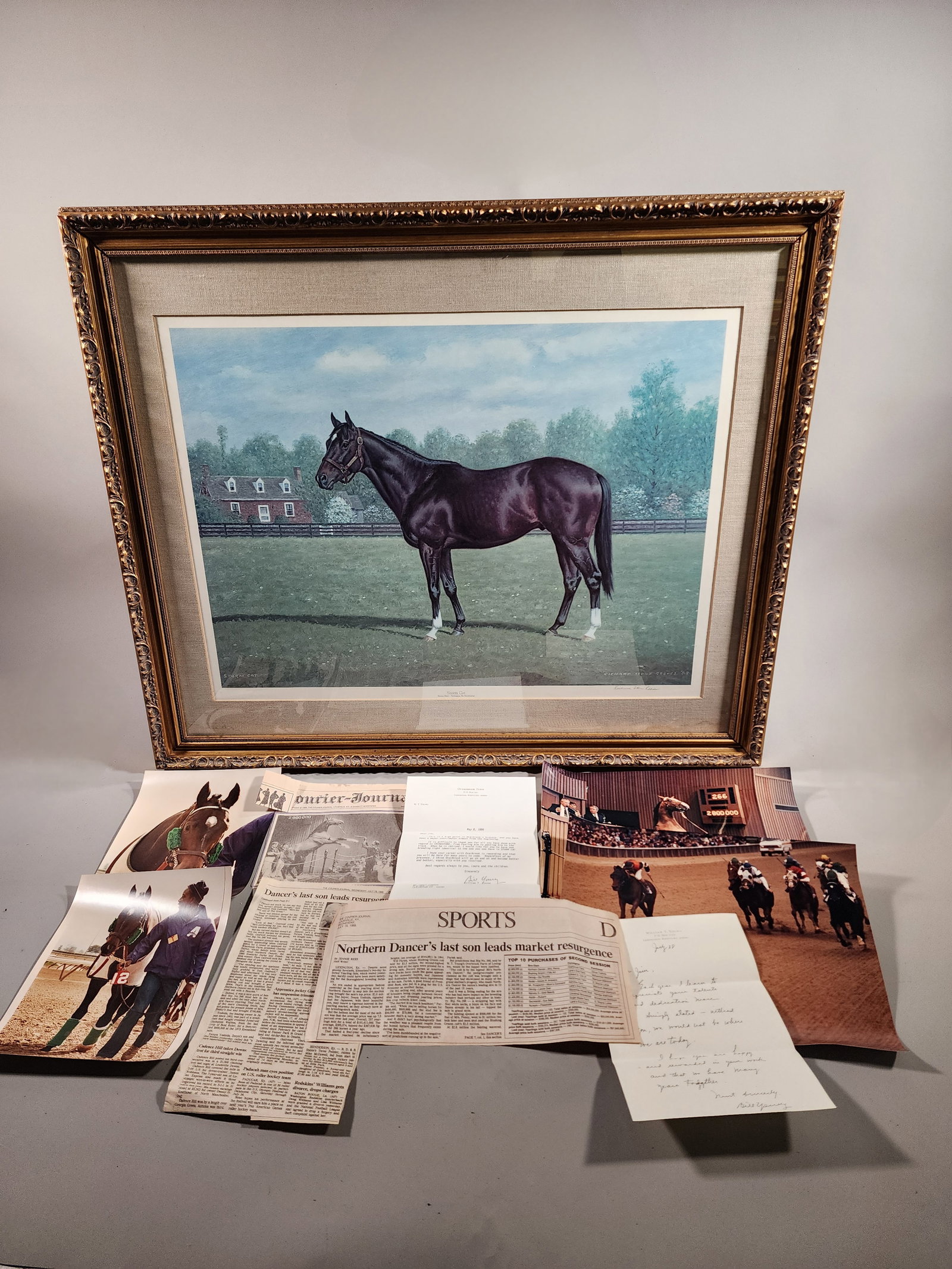 Framed Picture of Thoroughbred Stallion 'Storm Cat' and Associated Ephemera (1 of 12)