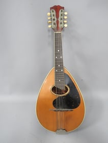 Weymann Mandolute