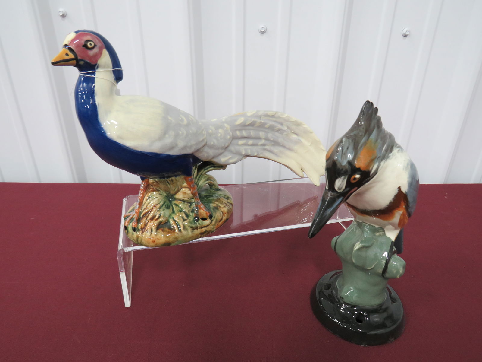 Pr. Weller Birds (1 of 7)