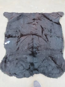 Victorian Bearskin Rug