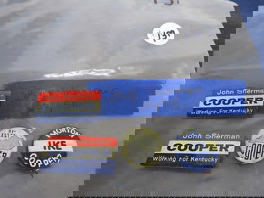 Collection of John Sherman Campaign Pins