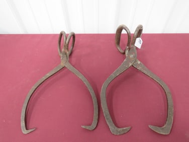 2-Ice Tongs