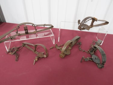 5-Animal Traps