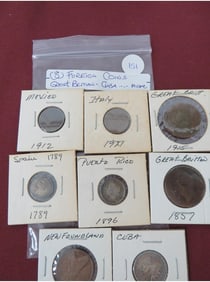 (8) Foreign Coins