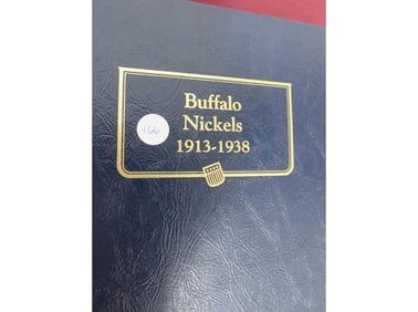 Buffalo Nickels (24)