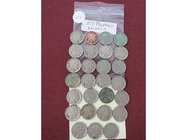 27 Buffalo Nickels