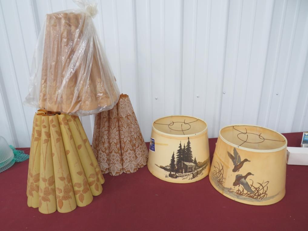 (5) Aladdin Shades (1 of 7)