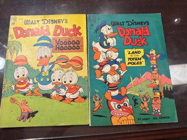 (2) Walt Disneys Donald Duck in VooDoo HooDoo & La
