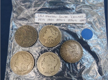 Morgan Dollar Lot (5 Coins)