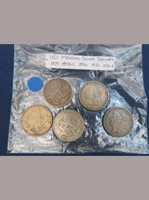 Morgan Dollar Lot (5 Coins)