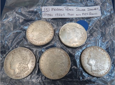 Morgan & Peace Dollar Lot