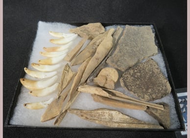 25-Fort Ancient, OH artifacts