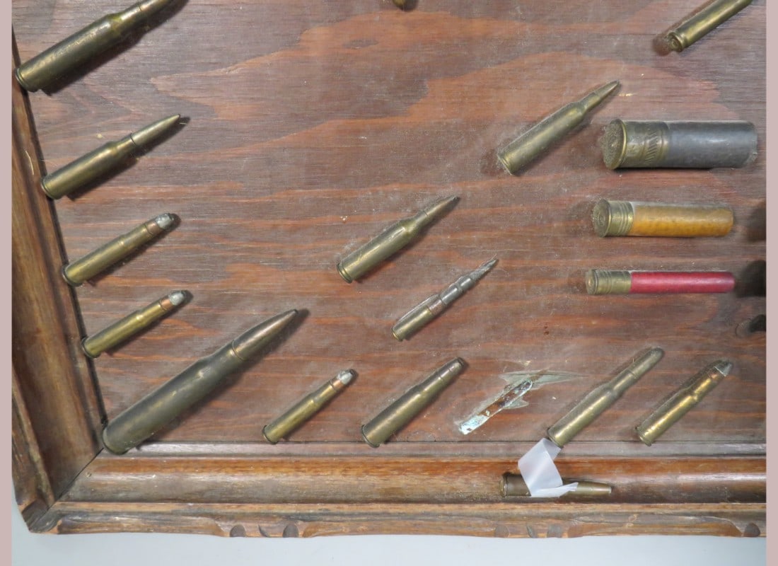 Framed Shell Display - 4