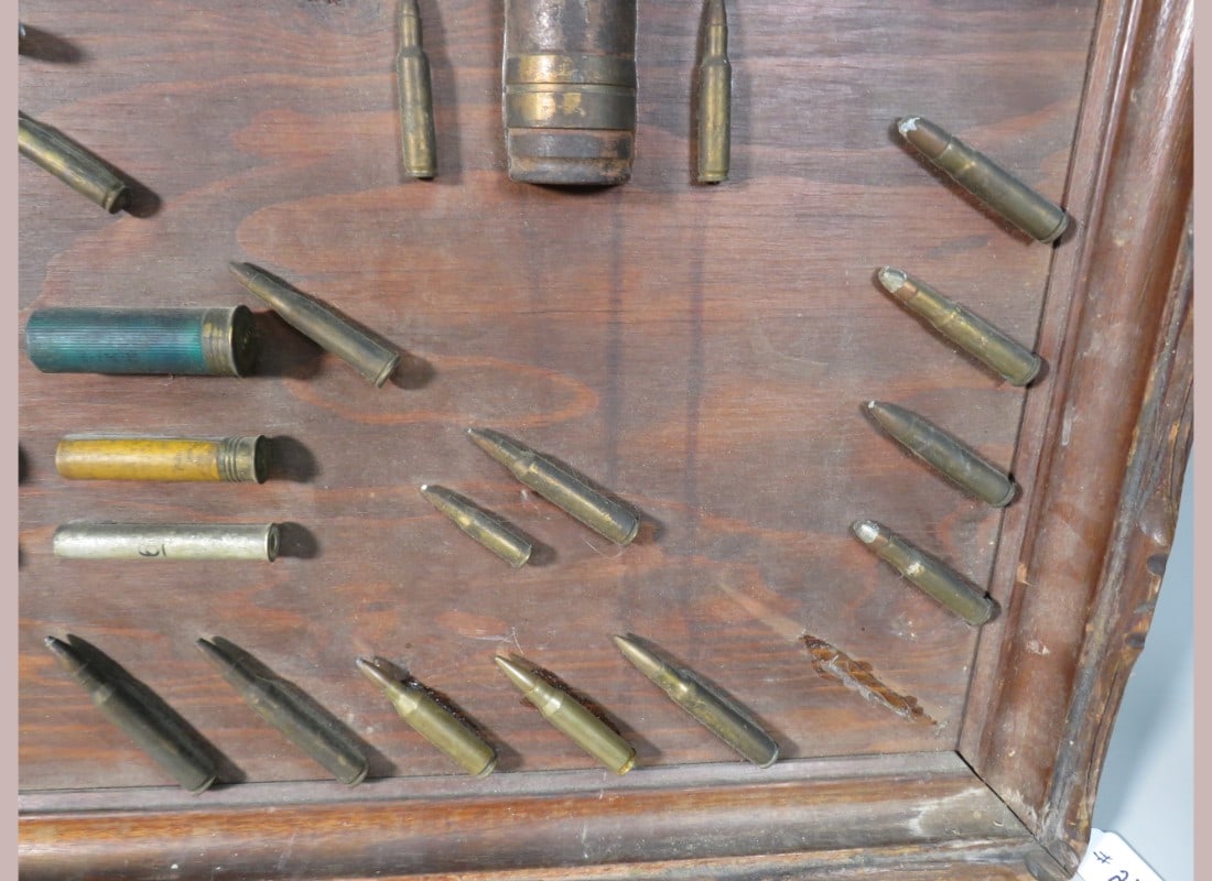 Framed Shell Display - 5