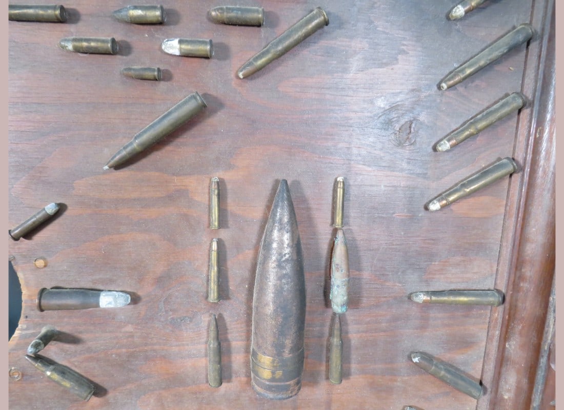 Framed Shell Display - 6