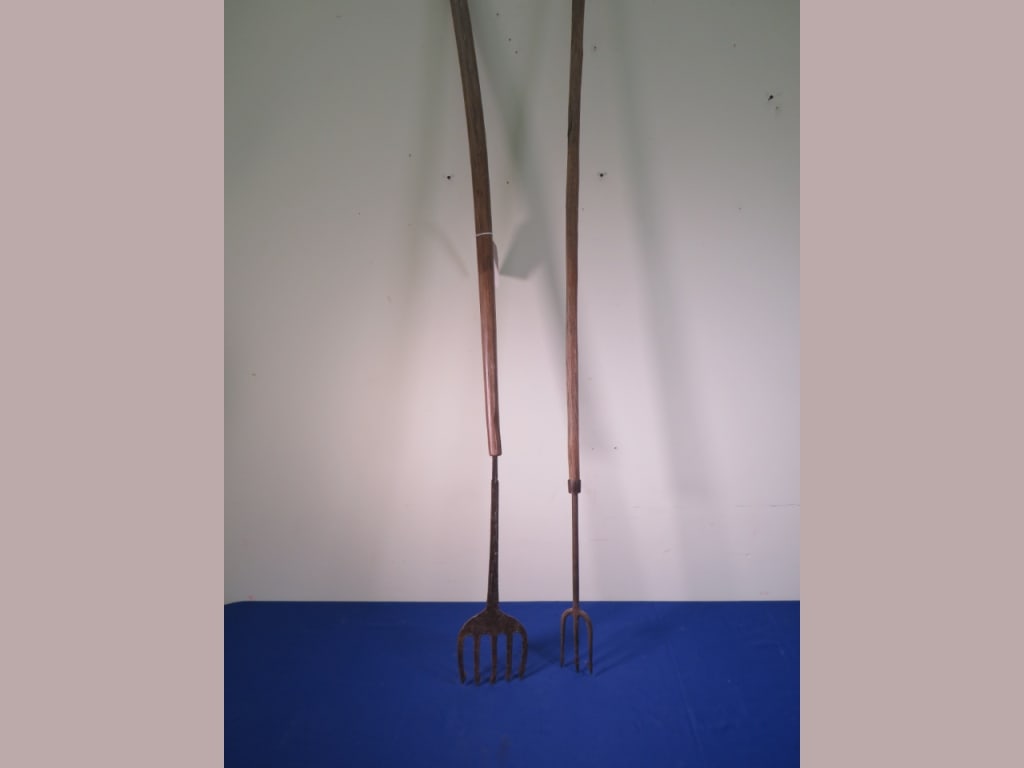 2- Early Forged Whaling forks and Spears: 76"l max. No "forks"