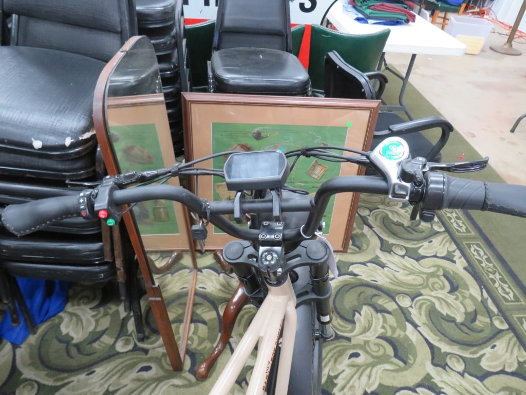 BadBoy Cycle Electric Bike - 5