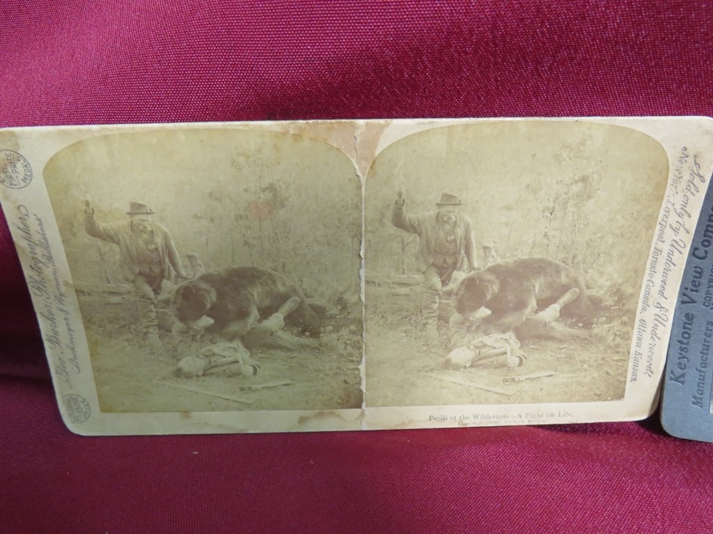 2-Stereoview Cards - 3