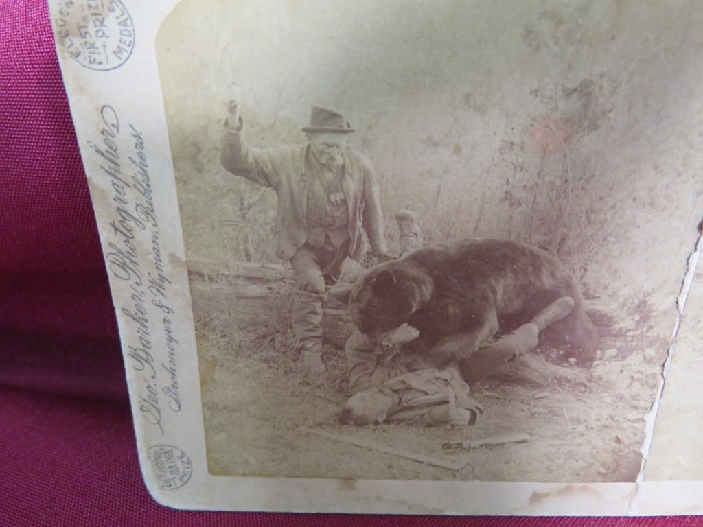 2-Stereoview Cards - 4