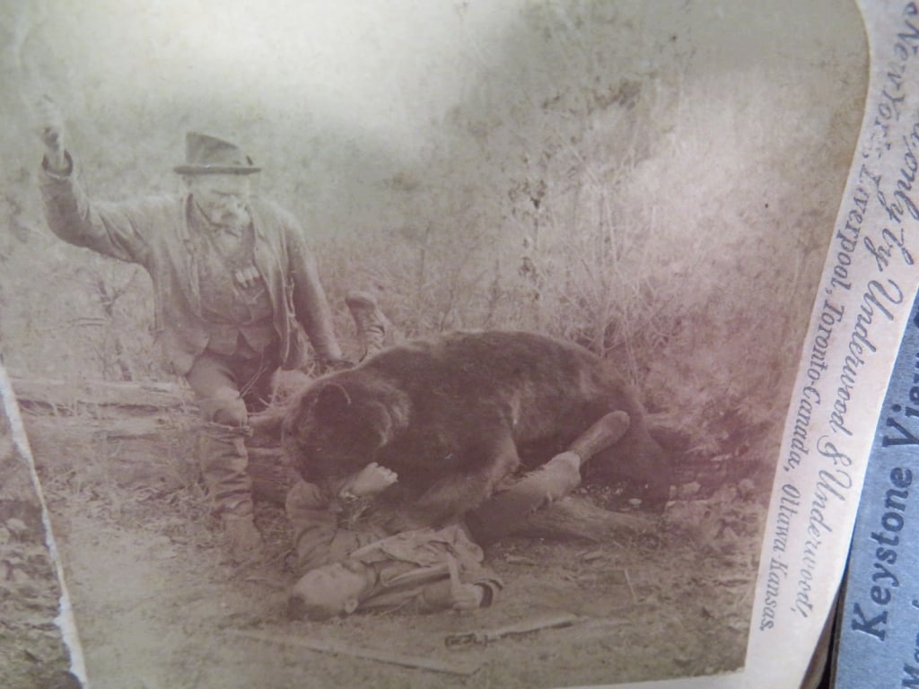 2-Stereoview Cards - 5