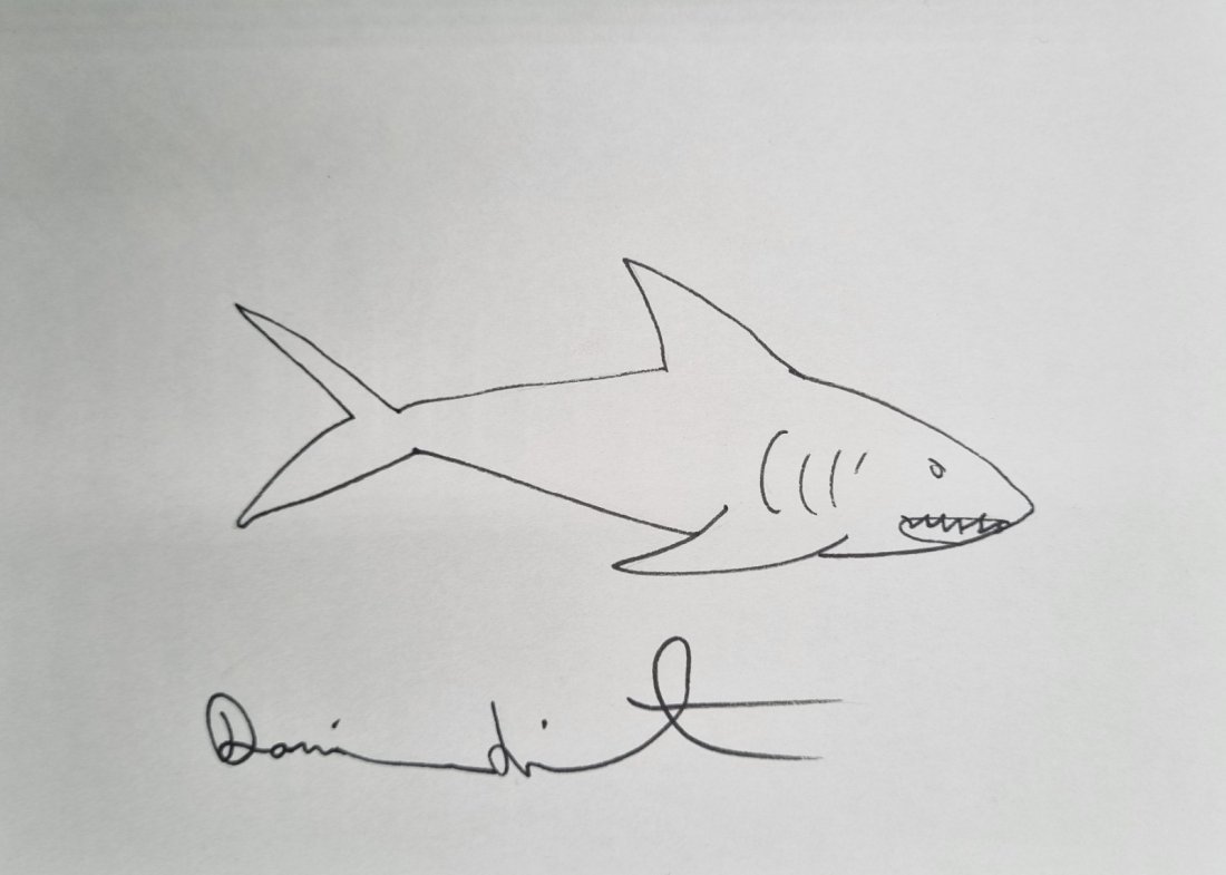 Damien Hirst Shark drawing with full old signature (1 of 1)