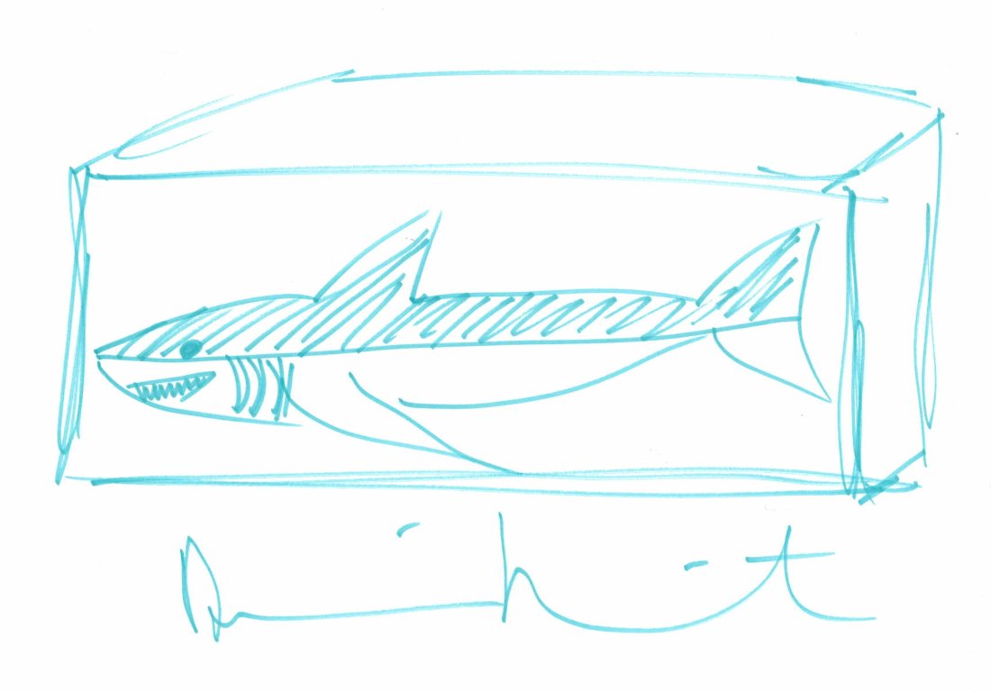 Damien Hirst Skull drawing No Reserve (1 of 1)