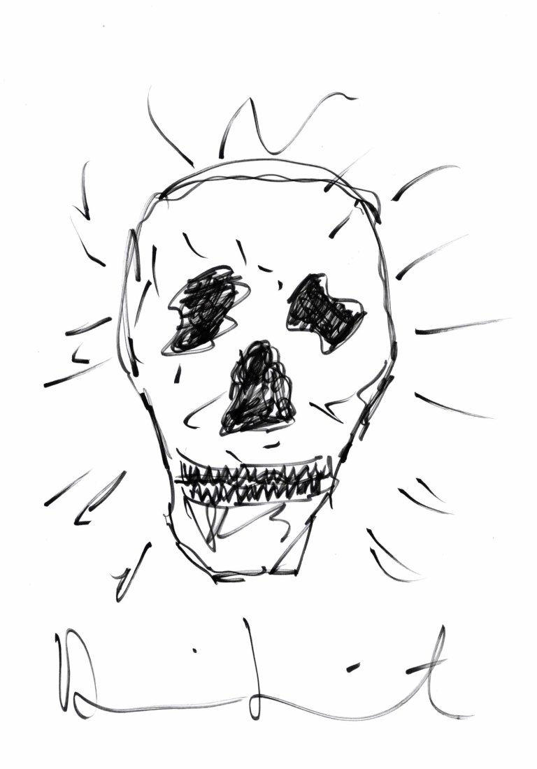 Damien Hirst Skull drawing No Reserve (1 of 1)