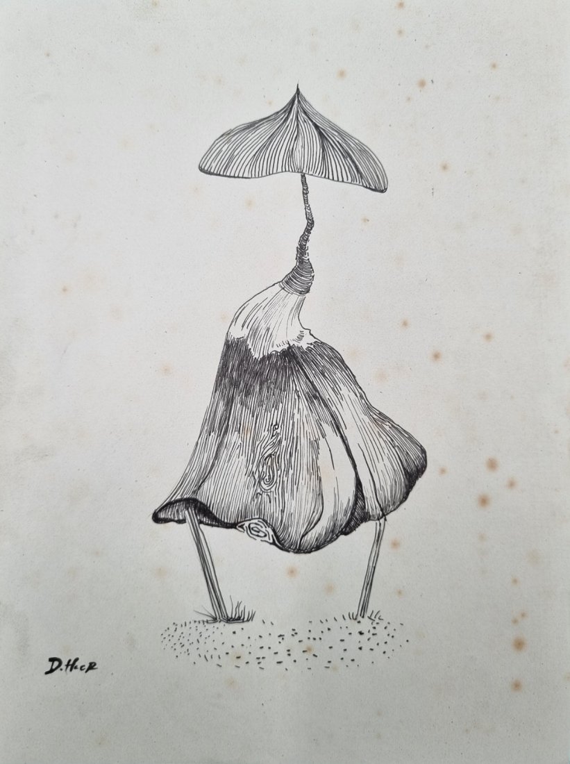 Dorothy Hood original pen and ink drawing No Reserve: Dorothy Hood (August 22, 1918 – October 28, 2000)was an American painter in the Modernist tradition. Her work is held in private collections and at several museums, most notably the Museum of Modern