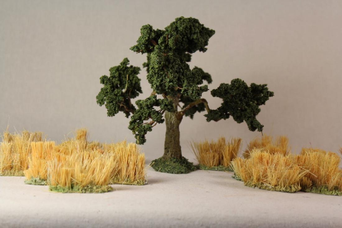 Marlborough Durbar Trees And Grass (1 of 1)