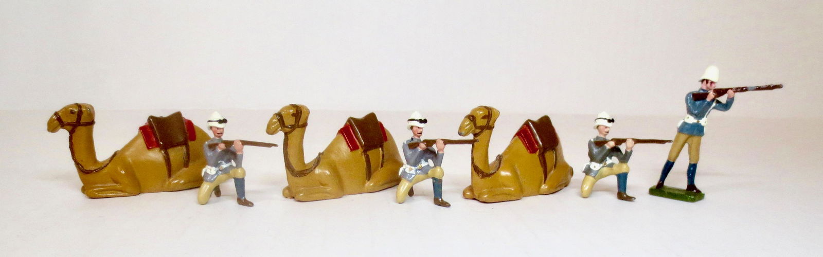British Bull Dog Camel Corps (1 of 1)
