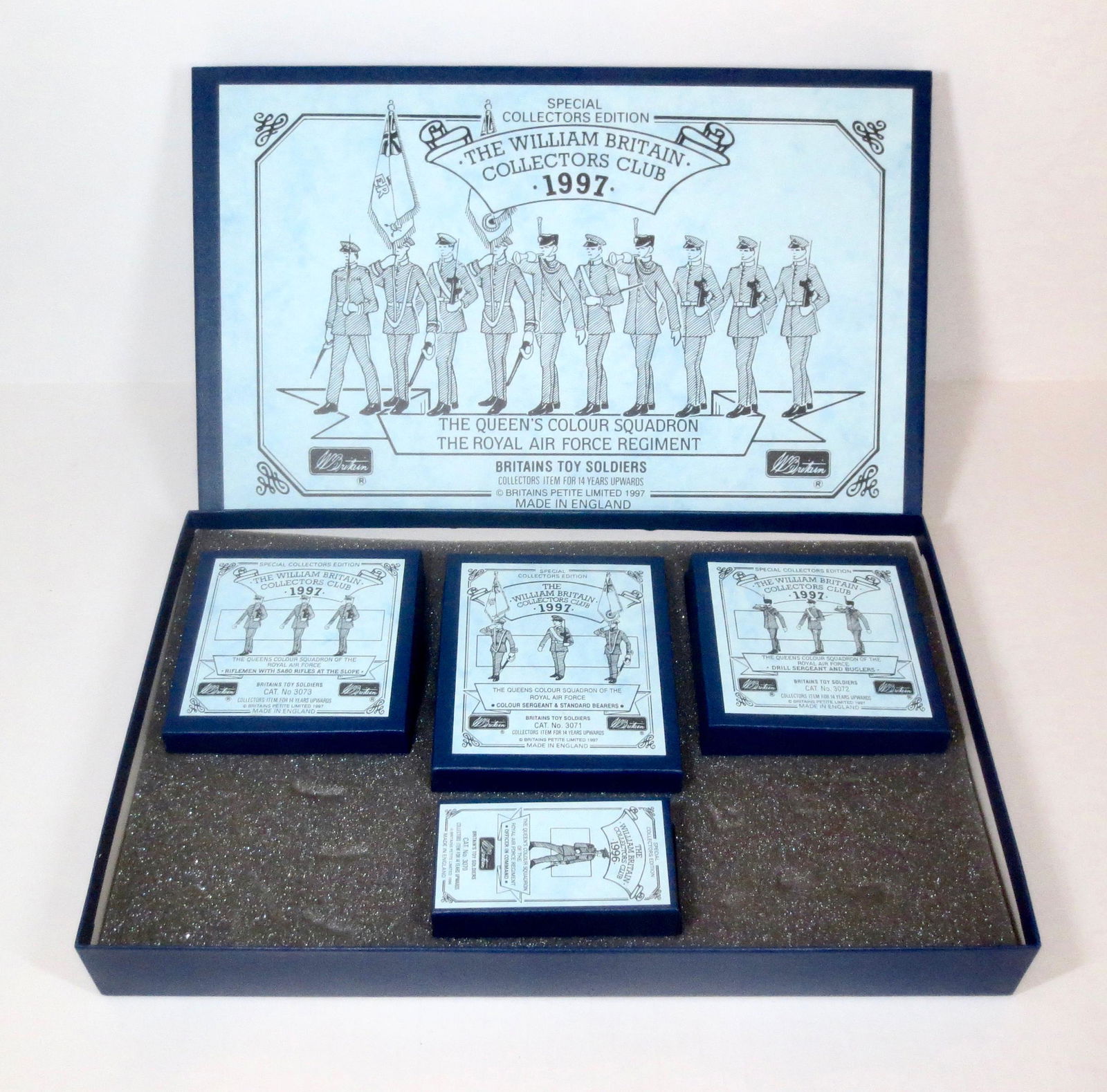 Britains The Queen's Colour Squadron (1 of 1)