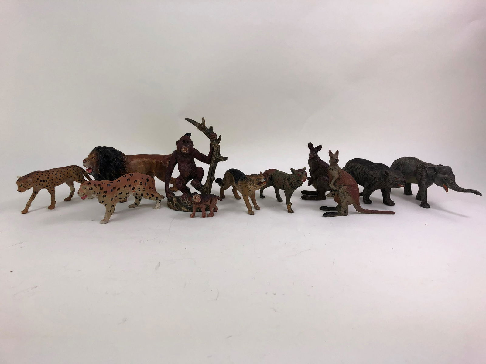 Composition Animal Collection (1 of 1)