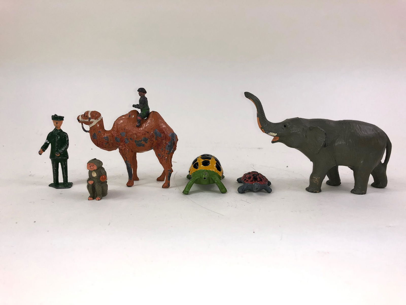 Zoo Collection (1 of 1)