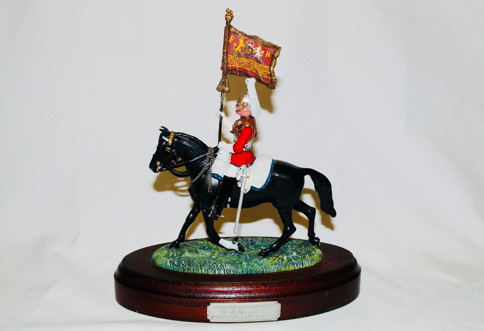 Charles Stadden Sovereign's Standard Life Guards (1 of 1)