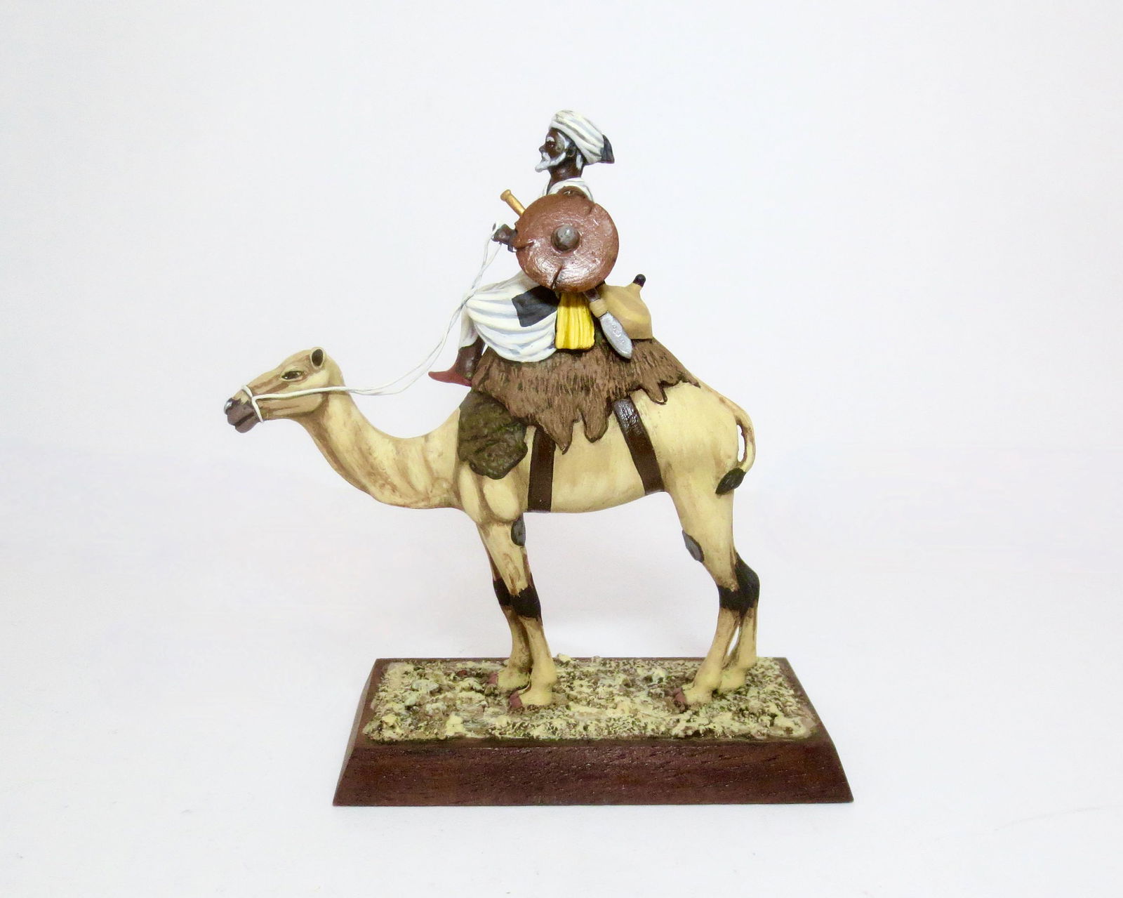 Taaish Dervish Warrior on Camel (1 of 1)