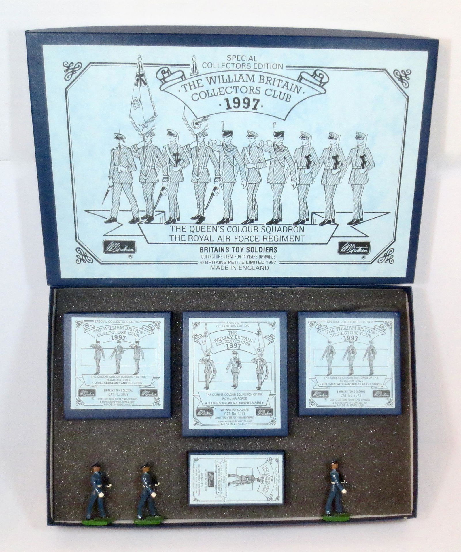 Britains The Queens Colour Squadron (1 of 1)