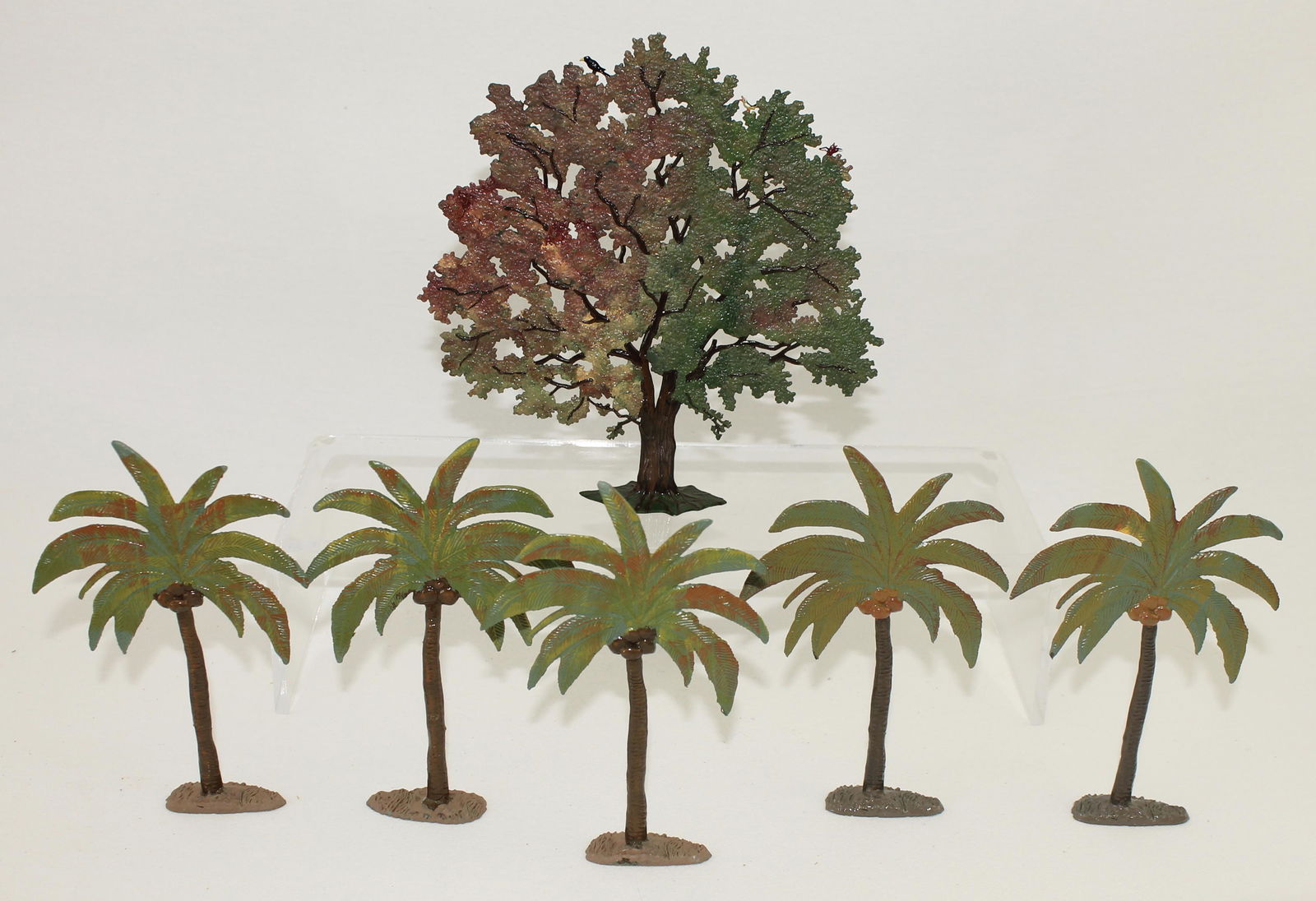 Lot of Lead Palm Trees and Oak Tree (1 of 3)