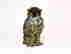 item-120903160=1