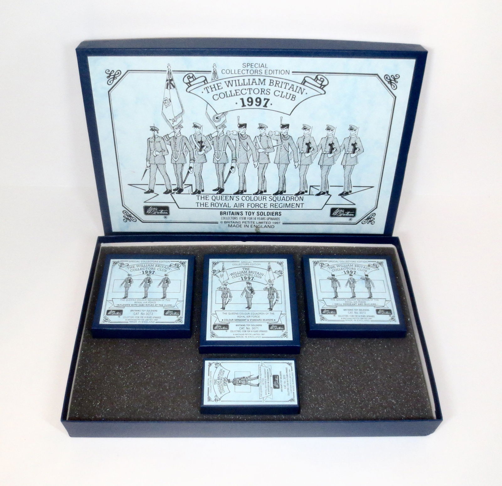 Britains The Queen's Colour Squadron (1 of 1)