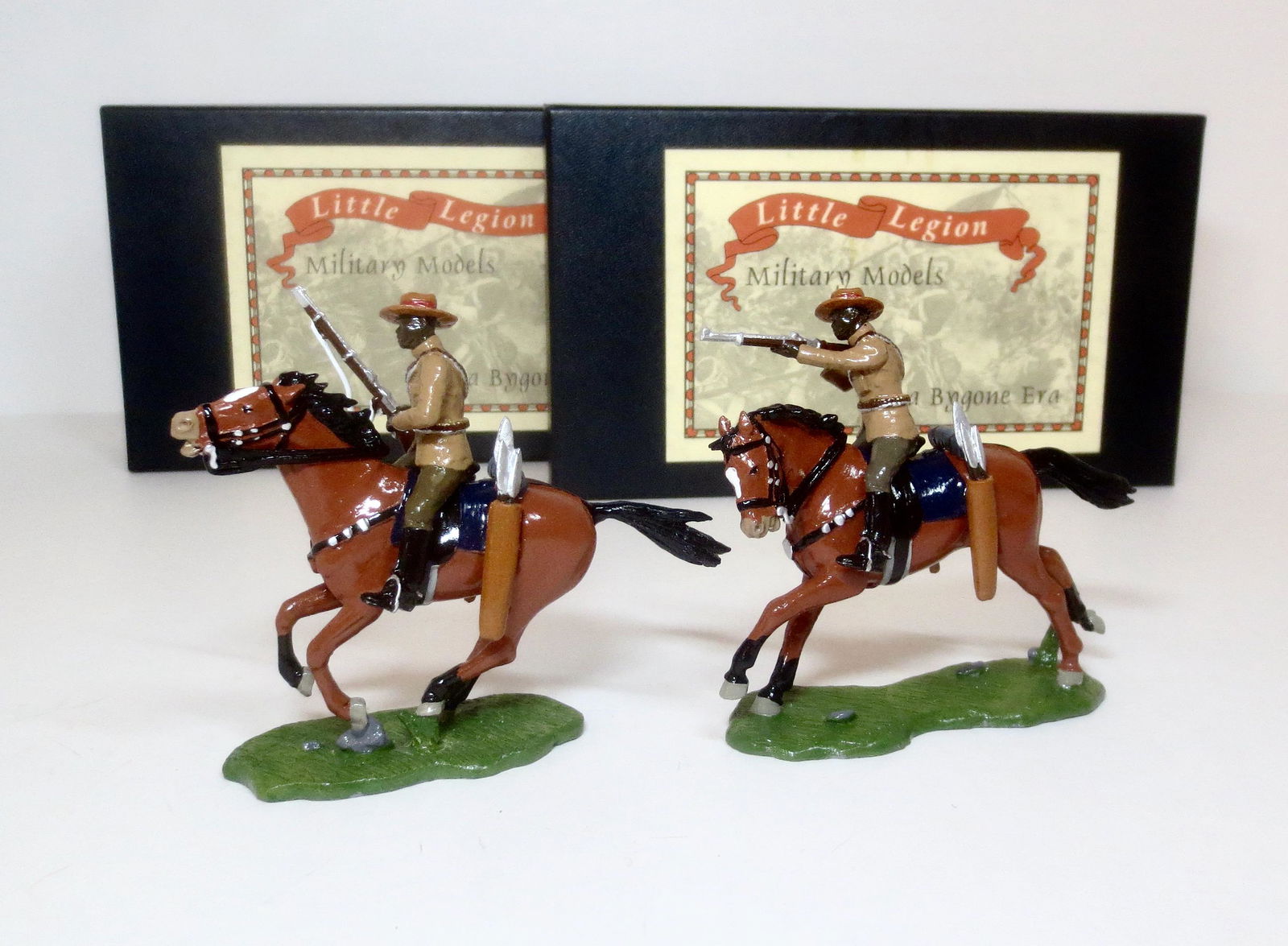 Little Legion Natal Native Horse (1 of 1)