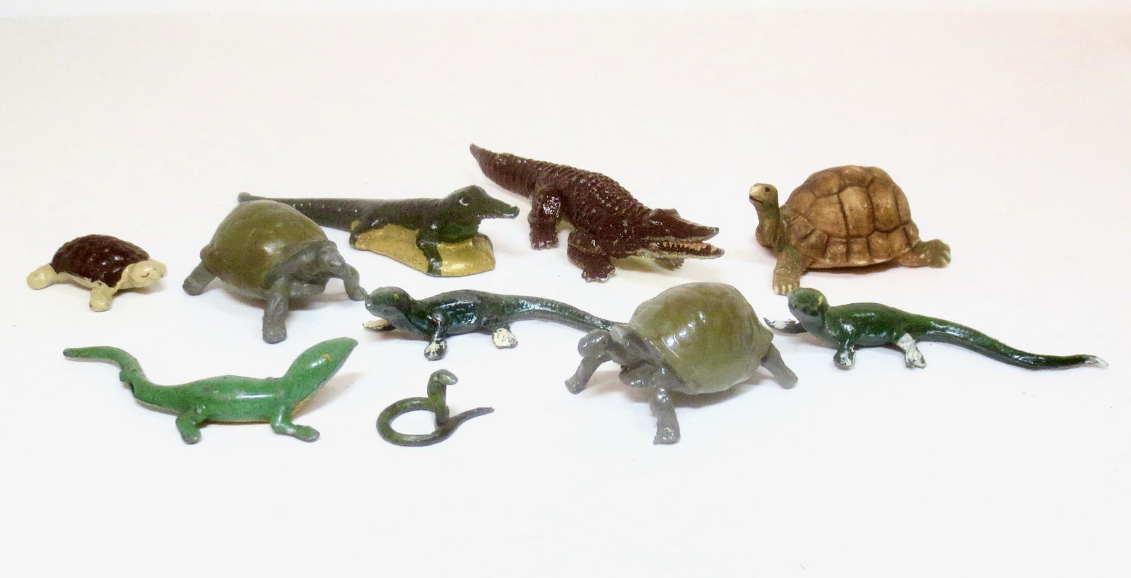 Assorted Zoo Reptiles (1 of 1)