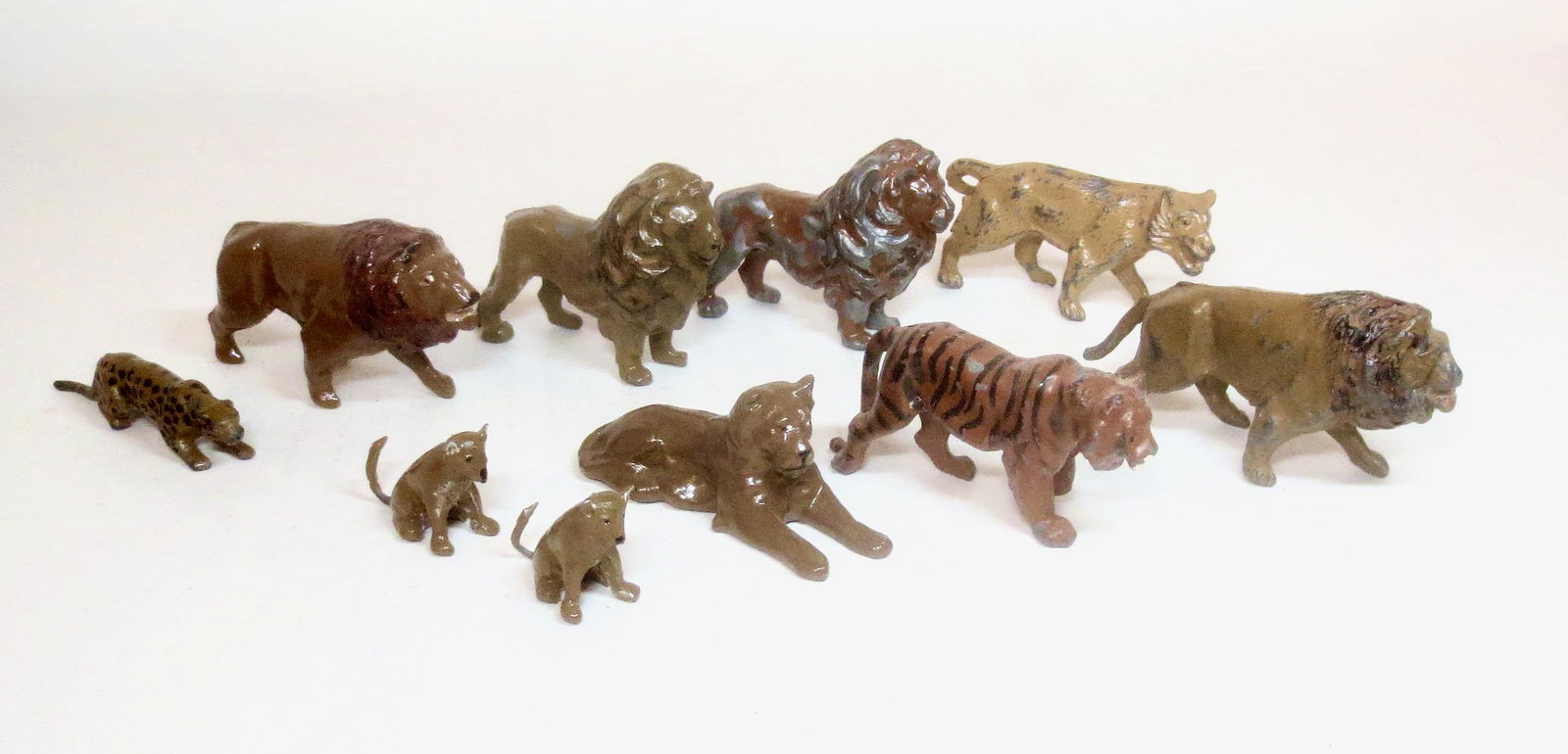 Assorted Zoo Lions, Tigers & Cheetah (1 of 1)
